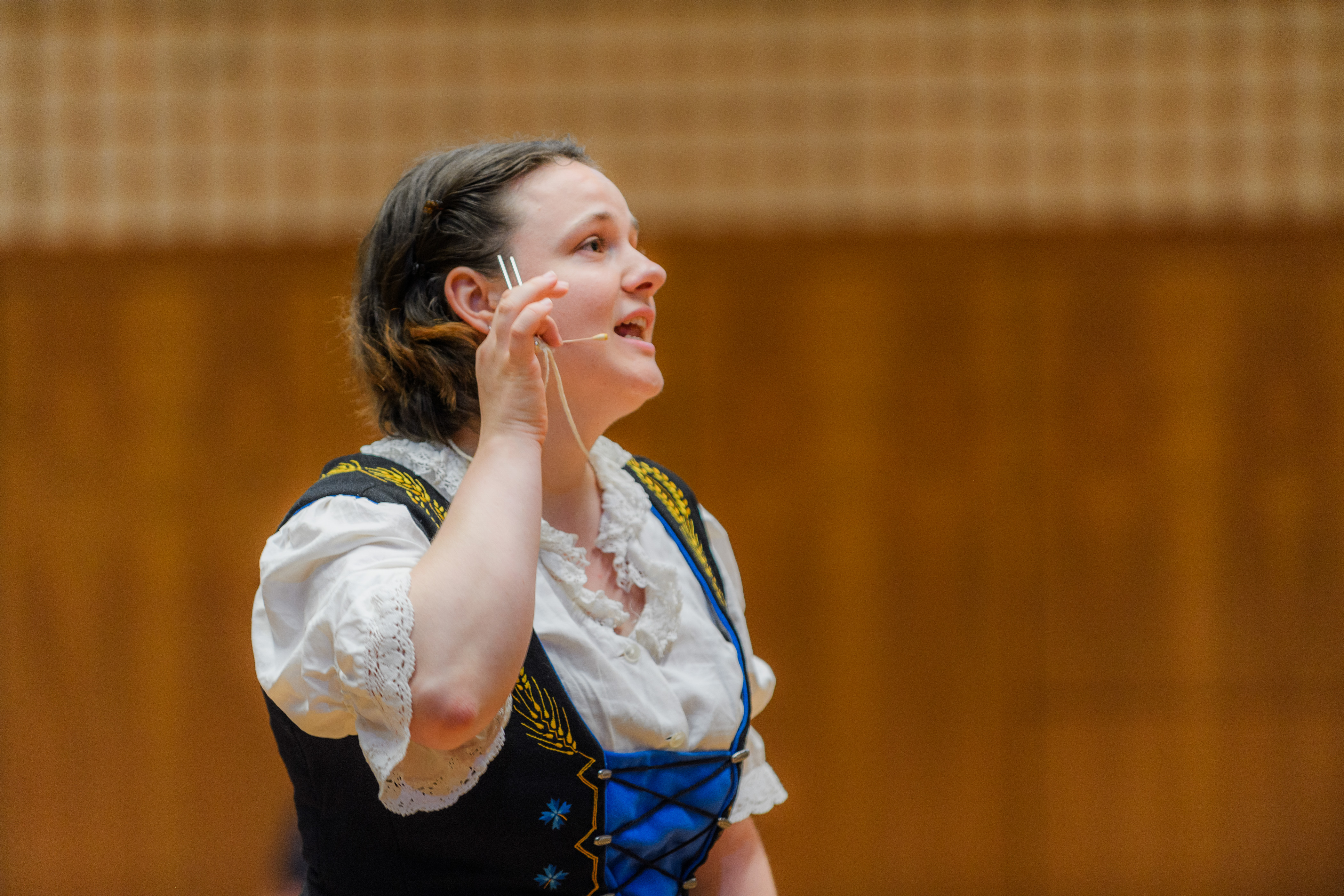 Volkstanzgala im Kongresshaus